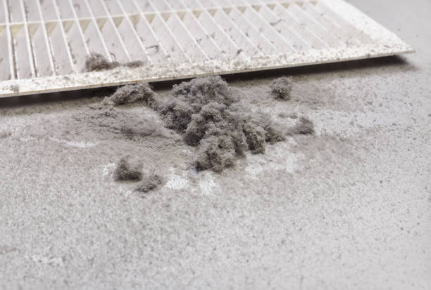 Best Local Air Duct Cleaning Services  in Jamestown, TN